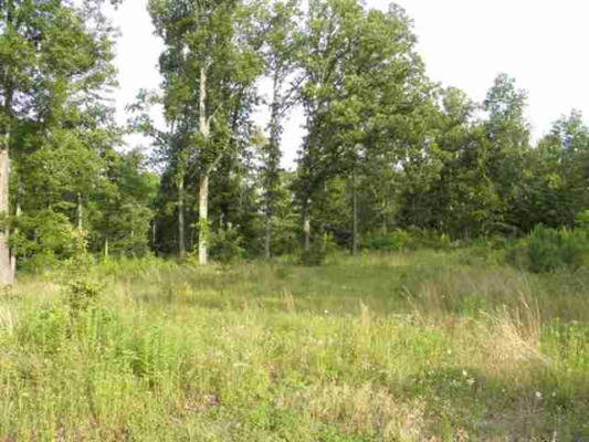 LOT 31 WOODRIDGE SUBDIVISION, BENTON, KY 42025, photo 2 of 2