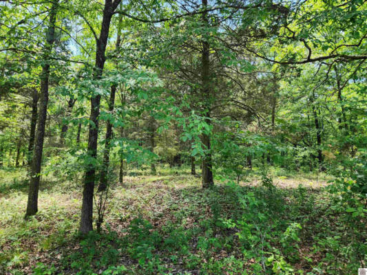 00 HILLS HOLLOW ROAD, LOT 53, MURRAY, KY 42071, photo 2 of 6