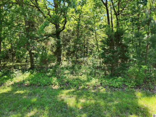 00 HILLS HOLLOW ROAD, LOT 53, MURRAY, KY 42071, photo 5 of 6