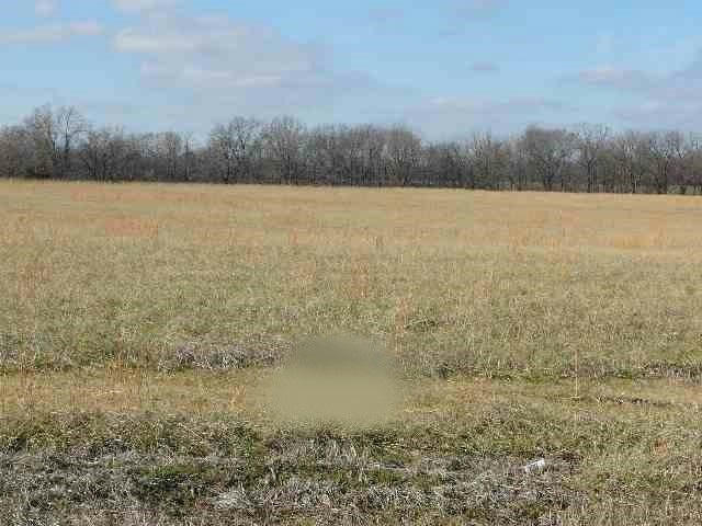 LOT 16 BALL PARK LOOP, LEDBETTER, KY 42058, photo 1