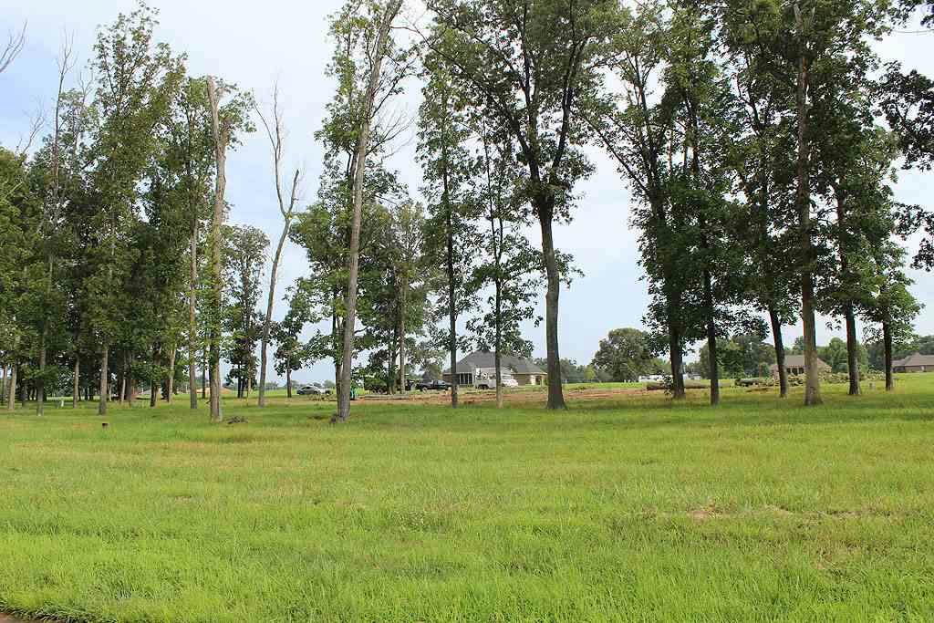 LOT# 74 CORNWALL DRIVE, MURRAY, KY 42071, photo 1 of 3