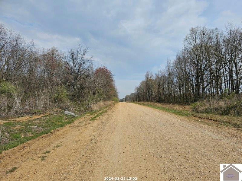4625 OLD WOODVILLE RD, KEVIL, KY 42053, photo 1 of 8