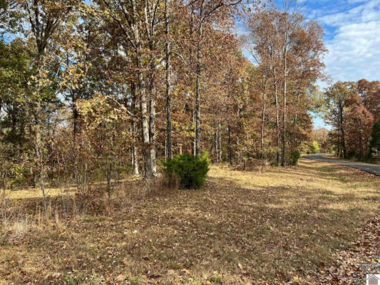 LOT 24 HAYNES CEMETERY ROAD, MURRAY, KY 42071, photo 5 of 10