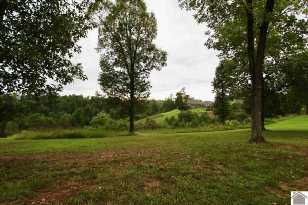 LOT 5 ROSE LANE, EDDYVILLE, KY 42038, photo 3 of 4