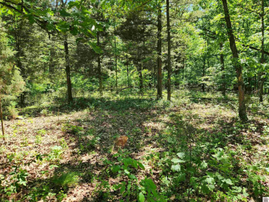 00 HILLS HOLLOW ROAD, LOT 53, MURRAY, KY 42071, photo 4 of 6