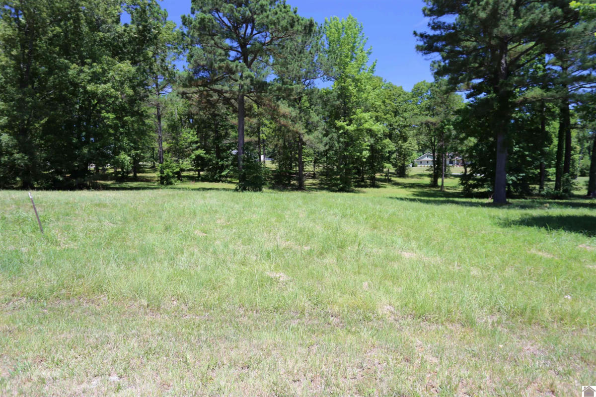 LOT #28 AMBER COLE COURT, BENTON, KY 42025, photo 1 of 12