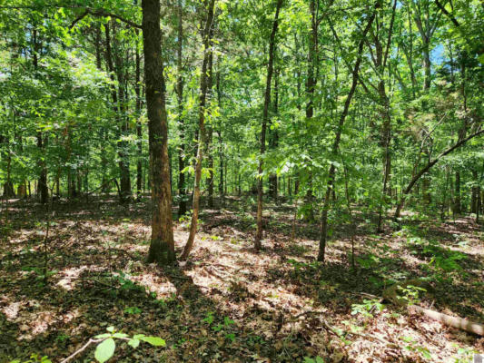 00 HILLS HOLLOW ROAD, LOT 53, MURRAY, KY 42071 - Image 1