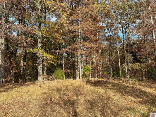 LOT 24 HAYNES CEMETERY ROAD, MURRAY, KY 42071, photo 4 of 10