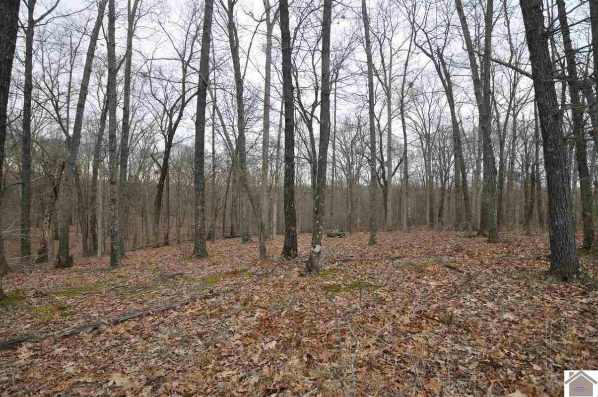 00 HILLS HOLLOW ROAD, LOT 20, MURRAY, KY 42071, photo 1 of 14