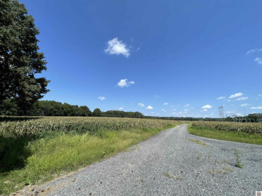 00 OLD TROUT ROAD, DEXTER, KY 42036, photo 2 of 9