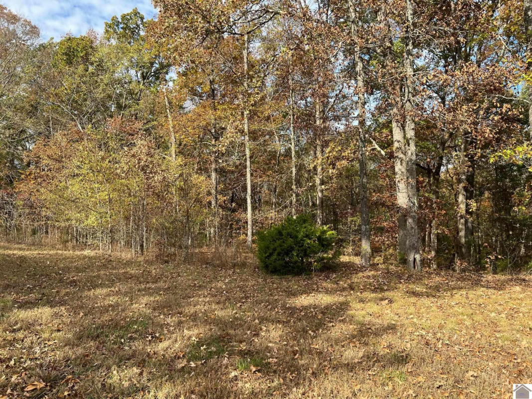 LOT 24 HAYNES CEMETERY ROAD, MURRAY, KY 42071, photo 1 of 10