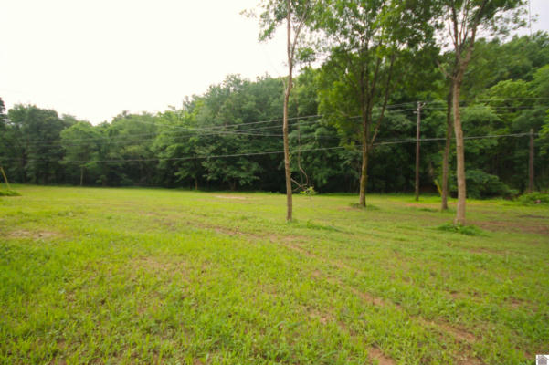 3245 POTTERTOWN RD, MURRAY, KY 42071 - Image 1