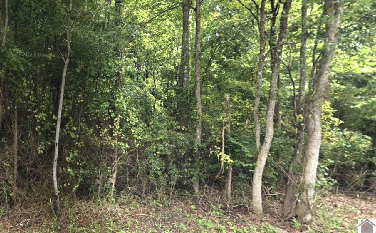 0 SPEAKER TRAIL, MURRAY, KY 42071, photo 1 of 3