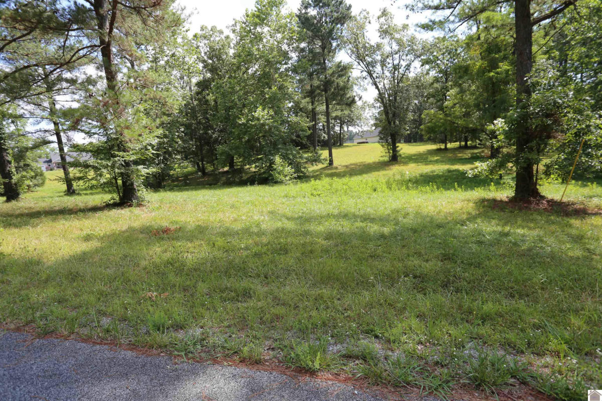 LOT #44 DOE VALLEY DRIVE, BENTON, KY 42025, photo 1 of 12