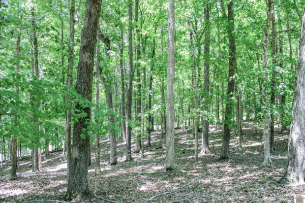 0 Indian Hills Trail Eddyville Ky 42038 Vacant Land For Sale Mls