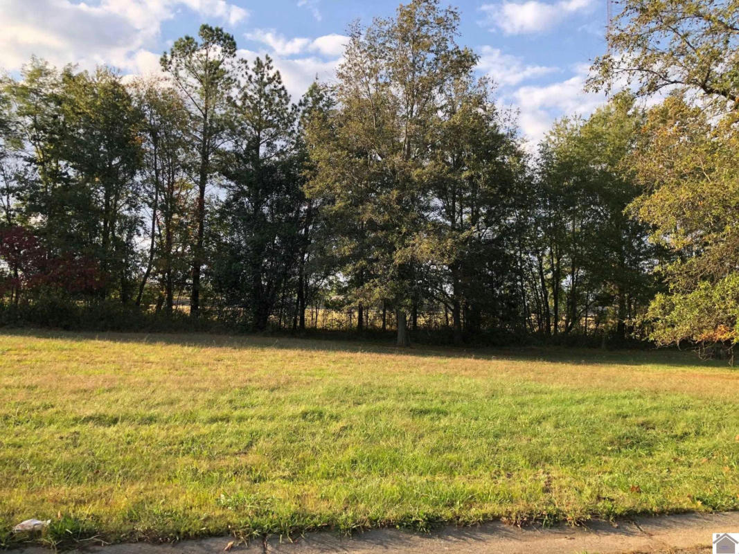 LOT 42 MASTERS DRIVE, MAYFIELD, KY 42066, photo 1 of 2